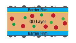 quantum dot film (5)